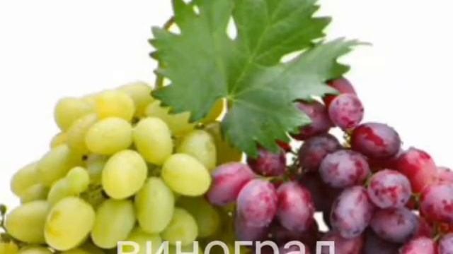Какие фрукты можно давать хомяку смотреть онлайн