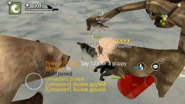 Прохождение игры Wolf online часть 1 охота на севере смотреть онлайн