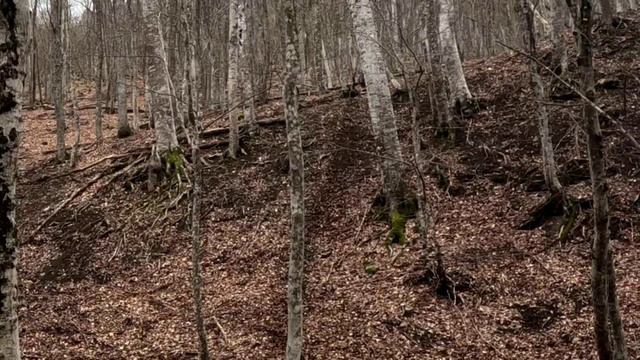 Весеннее ENDURO обострение😁 испытай себя в деле! 😉