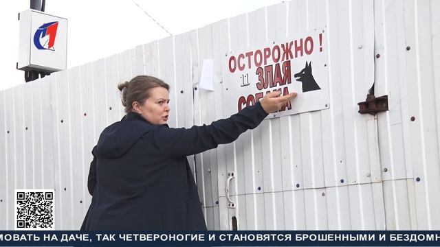 Не бросай меня на даче. ТК «Первый Советский» смотреть онлайн