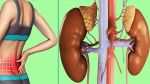 Старинный РЕЦЕПТ для работы НАДПОЧЕЧНИКОВ! Укрепит иммунитет, улучшит сон и обмен веществ и др.!