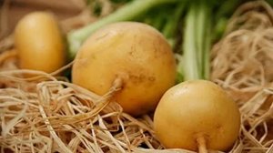 Забытая РЕПА! А ведь раньше была ГЛАВНЫМ продуктом на столе! Полезные свойства репы, как приготовить
