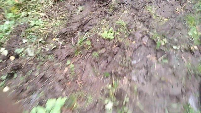 Тропа к горе Будачиха и каменным рекам на Алтае смотреть онлайн
