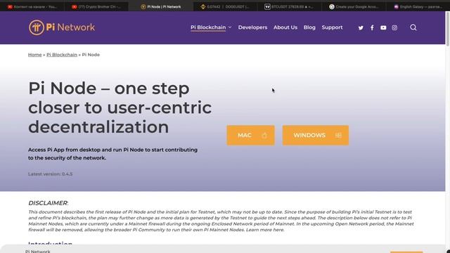 Node Pi Network. Что такое Нода Пи Нетворк? Как работает Pi Network Node? Установка Pi Network Node смотреть онлайн