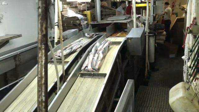 Русская рыбопромышленная компания БМРТ ПОРФИРИЙ ЧАНЧИБАДЗЕ скумбрия смотреть онлайн