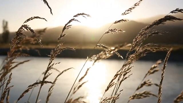 Нужно ли мне прятатьсяот людей и жить в такой глуши? смотреть онлайн