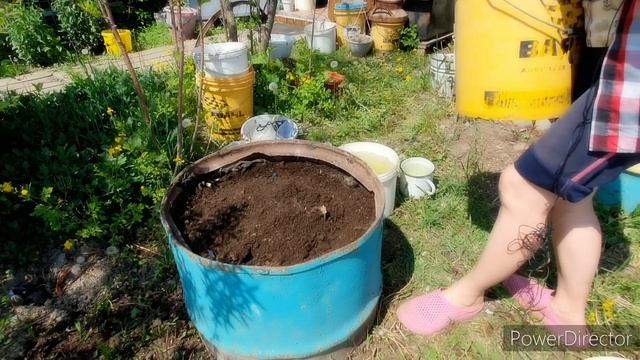 ОГУРЦЫ в бочке. Чем заполнить смотреть онлайн