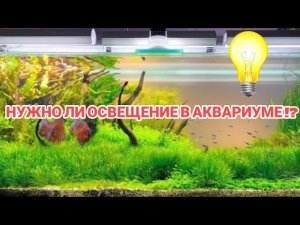 НУЖНО ЛИ ОСВЕЩЕНИЕ В АКВАРИУМЕ !?