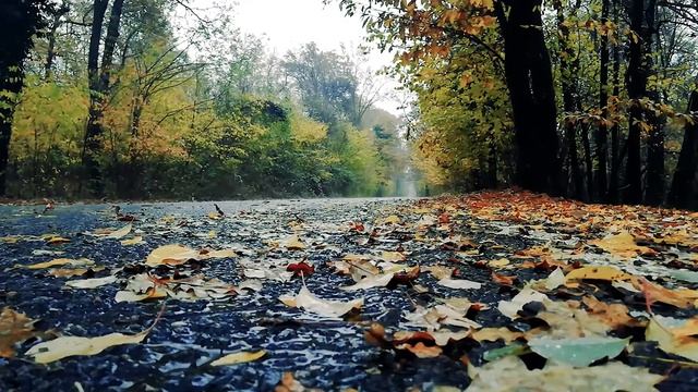 Капли дождя для сна и медитации!!! поможет быстро уснуть. RELAX!!! смотреть онлайн