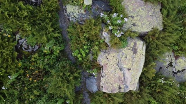 Ачипсинские водопады с высоты птичьего полета. Съёмки с квадрокоптера. смотреть онлайн