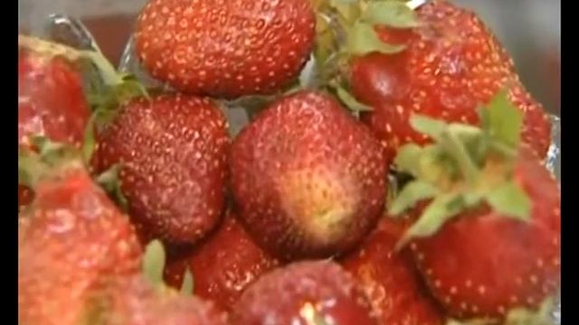 Сад и Огород Земляника декоративная колонна смотреть онлайн