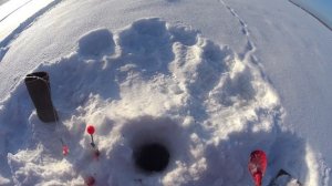 РЫБАЧИМ С НОЧЕВКОЙ В СУЗУНЕ...РЫБАЛКА НА КОМБАЙНЫ..