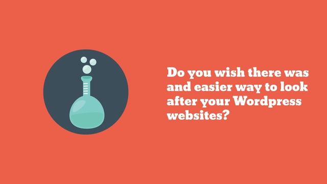 Mark Your Web - Wordpress Website Management смотреть онлайн