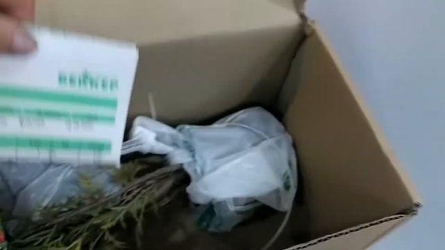 Первый заказ в Беккер смотреть онлайн