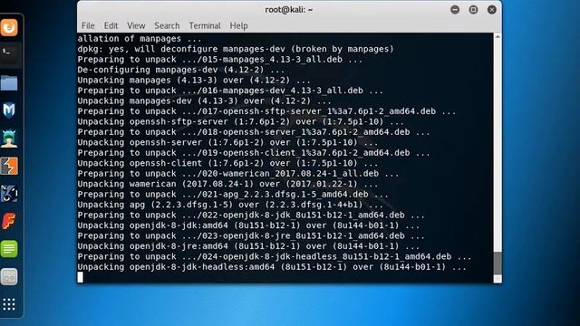 How To Install Kali Linux First Updates and Guest Additions смотреть онлайн