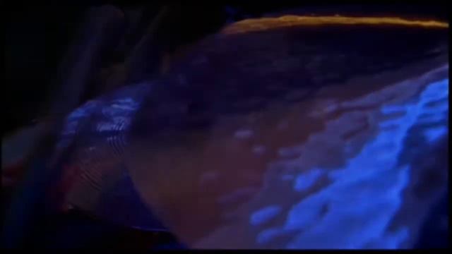 Слава Мартов в Лужниках LIVE-2007 смотреть онлайн