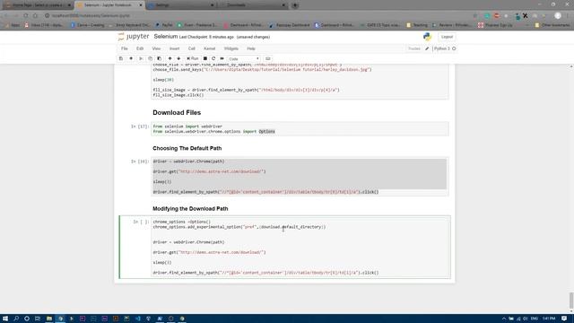 Download in A Specific Path | Selenium Tutorial 19.3 смотреть онлайн