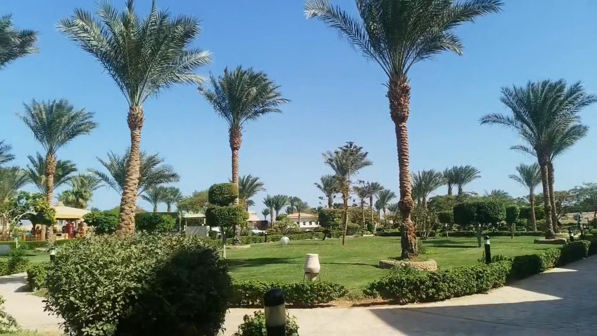 крайний 14 день в отеле long beach Resort HURGHADA. смотреть онлайн
