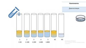Этапы постановки развернутой реакции агглютинации