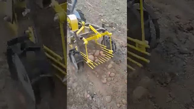 Копка картофеля кортофелекопалкой смотреть онлайн