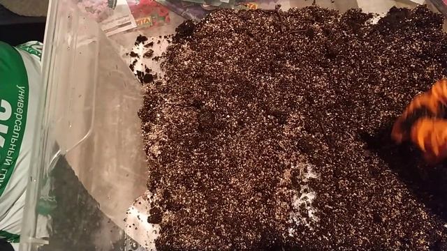 Составить грунт для рассады-легко!!! Бюджетно!!! смотреть онлайн