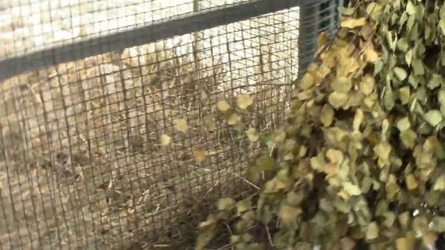 Вот как уговорить её родить? смотреть онлайн