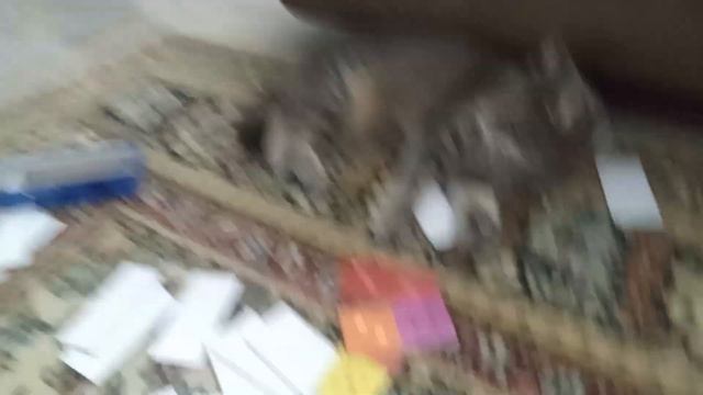 драконих и китти- играем в домино смотреть онлайн