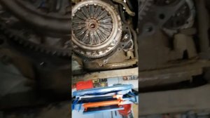 Nissan Pathfinder 174 л.с. Снятие мкпп и замена двух массового маховика, сцепления.