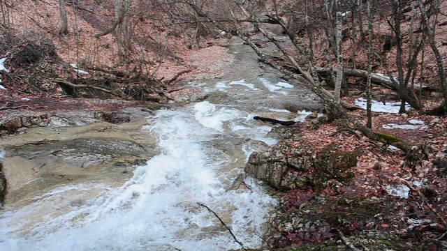 DSC_2524 смотреть онлайн