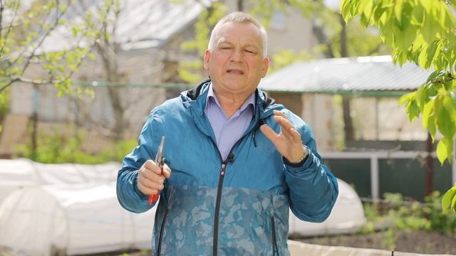 Дачные работы в мае: Что еще нужно успеть сделать? смотреть онлайн