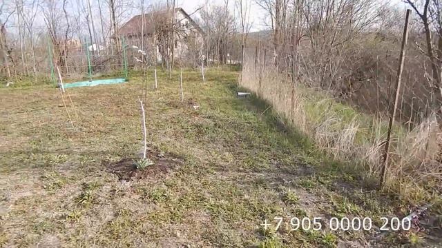 Ищем позитив от карантина.Где? Конечно в огороде. смотреть онлайн