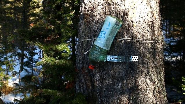 Детский спортивный лагерь в горах. Риддер смотреть онлайн