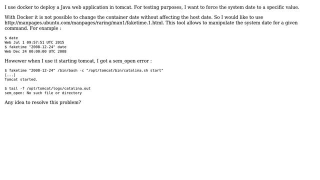 How to start tomcat with faketime within a docker container? смотреть онлайн