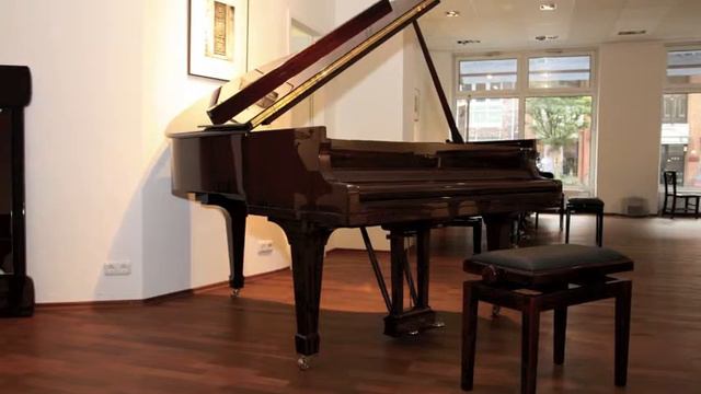 Steinway & Sons Mod. O-180 cm смотреть онлайн