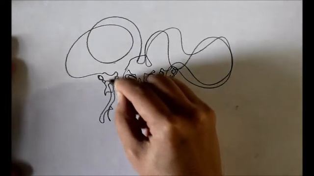 Рисунок одной линией (Горгона) смотреть онлайн