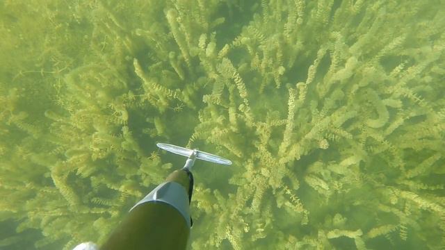 Заманчиво карась стоял р.Или смотреть онлайн