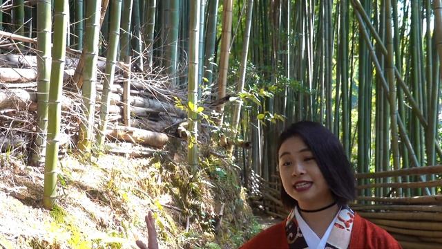 Hidden Walk of Fushimi Inari смотреть онлайн
