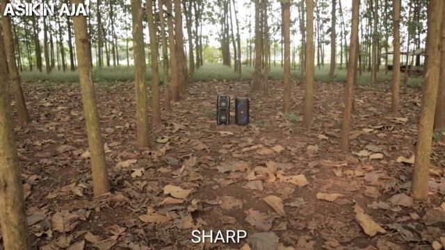 ?SHARP PS-920 VS JBL PARTYBOX 100 ? смотреть онлайн