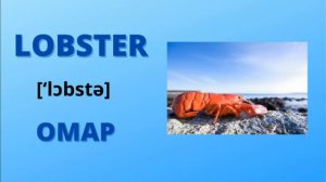 МОРСКИЕ ОБИТАТЕЛИ НА АНГЛИЙСКОМ ЯЗЫКЕ