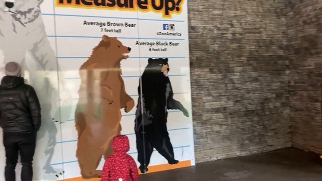 Hershey. Part 1. Зоопарк- ZooAmerica смотреть онлайн