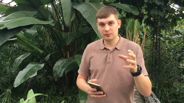 Программа Мастер курс 2 0 смотреть онлайн