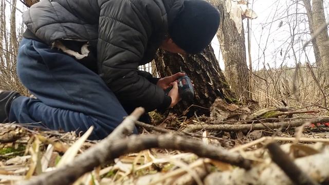 Как надо спускать березовый сок? смотреть онлайн