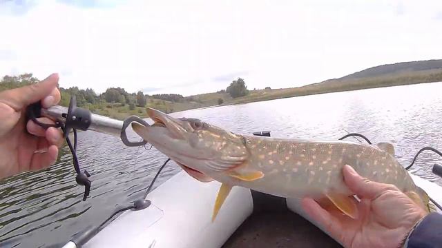 ВИБЫ лучшая приманка на пассивную Щуку смотреть онлайн