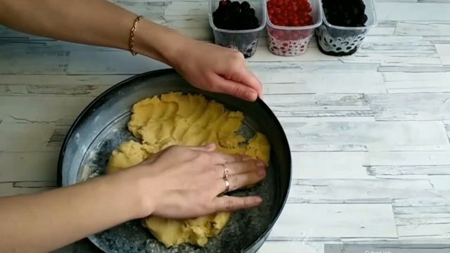 Интересные Факты о Животных