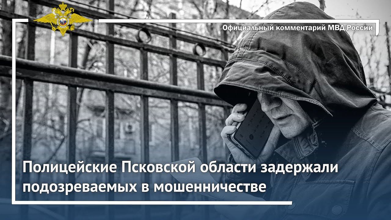 Ирина Волк: Полицейские Псковской области задержали подозреваемых в мошенничестве смотреть онлайн