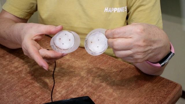 326_Примула после стратификации. Что дальше? смотреть онлайн