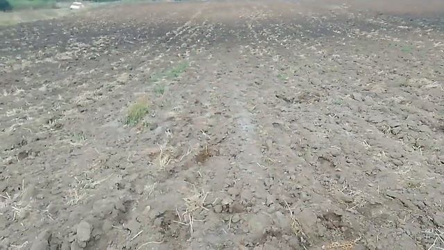 Поиск на перепаханых хатках в Токмакском районе Запорожской обл смотреть онлайн