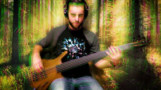 Intronaut - Fast Worms (Bass Cover) смотреть онлайн