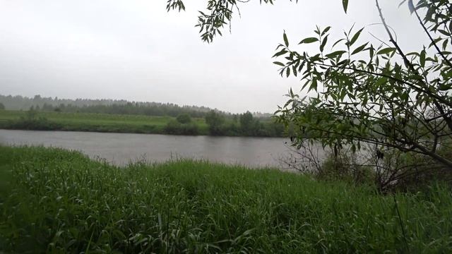 Во время дождя клюёт только КРУПНАЯ РЫБА.Рыбалка на фидер. Рыба любит такую погоду.Рыбалка на Угре. смотреть онлайн