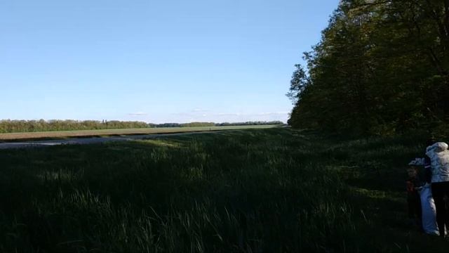 Косим траву смотреть онлайн